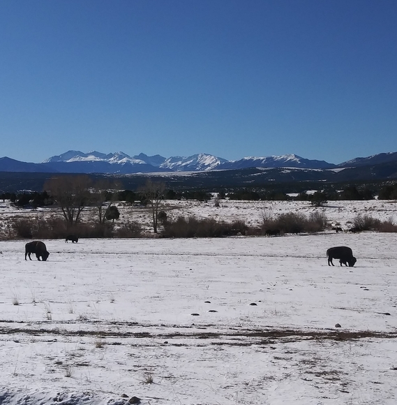 Meet your Posher, Scott - Picture 1 of 1